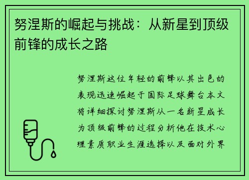 努涅斯的崛起与挑战：从新星到顶级前锋的成长之路